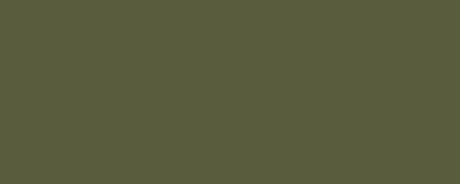Ford Transit Wild Green